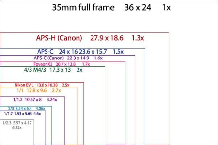 Sensor-Size-of-Digital-Cameras.jpg