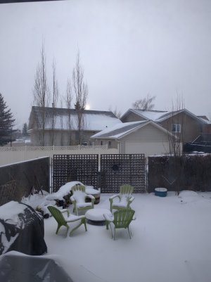Brrr.jpg