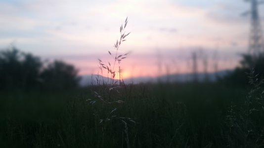 20150520_203204.jpg