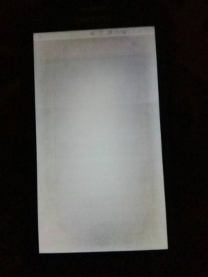 65632.jpg