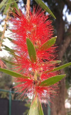 20151219_084105_crop.jpg