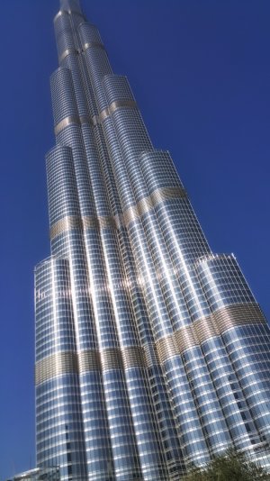img1.jpg