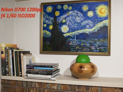 Nikon_D700_1200.jpg