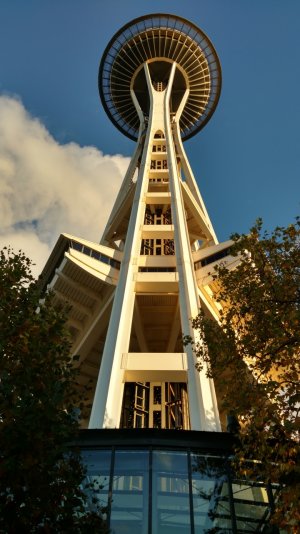 IMG_20151103_160329462_HDR[1].jpg