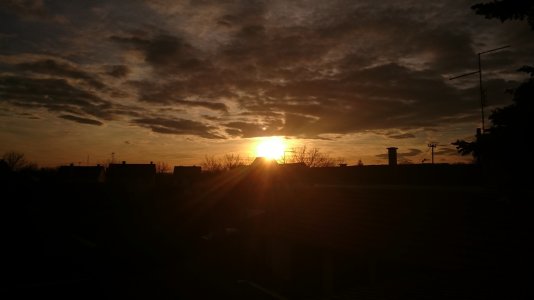 DSC_0010.jpg