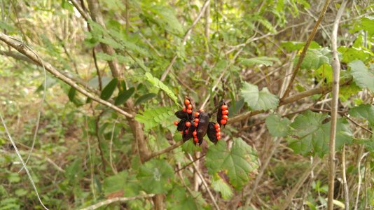 20160110_095122.jpg