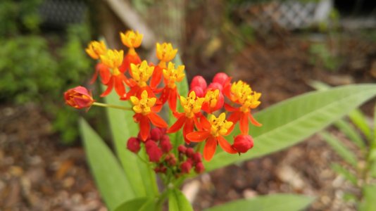 20160110_104917.jpg