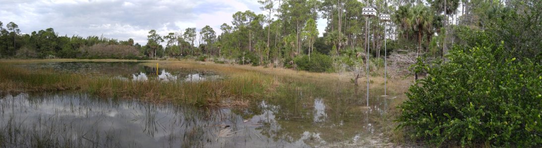 20160110_102525_Pano.jpg