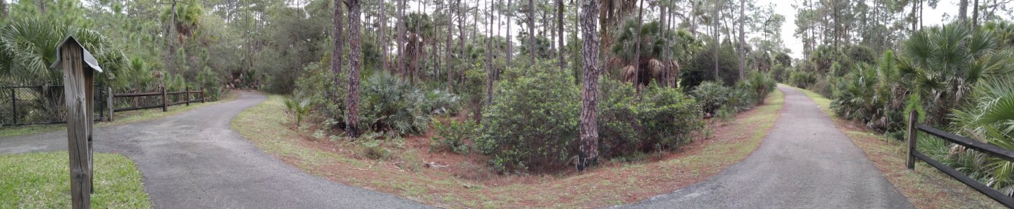 20160110_103008_Pano.jpg