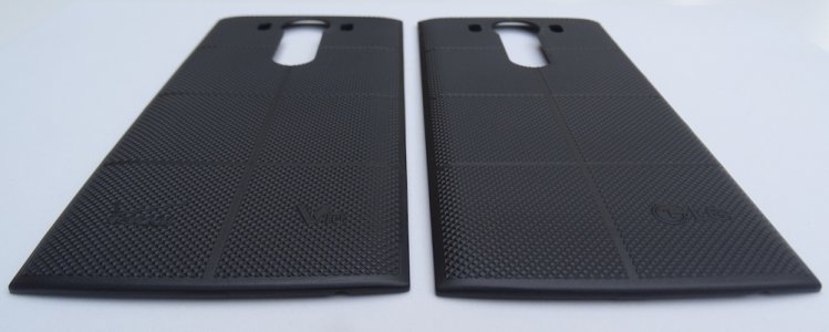 backs03.jpg