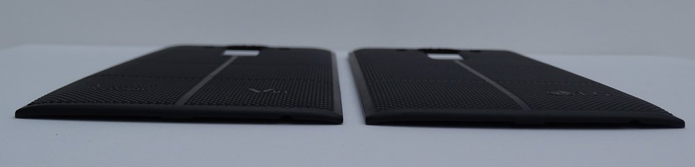 backs05.jpg