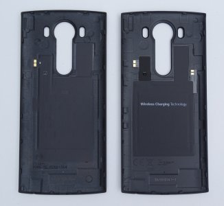 backs06.jpg
