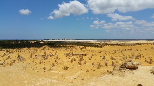 2016 - 1.jpg