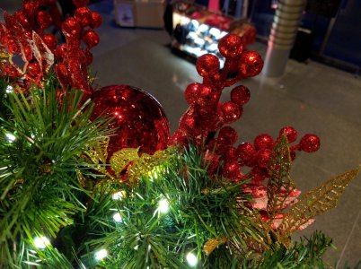 ac-photo-contest-festive.jpg