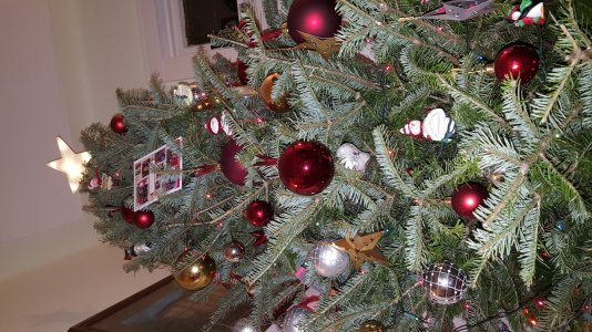 20151223_213845.jpg