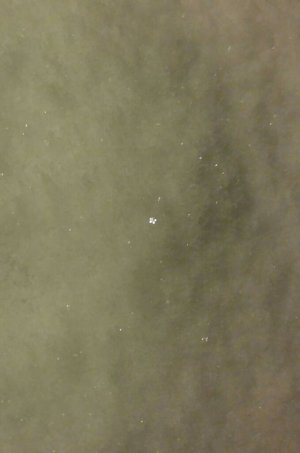 1449162522196.jpg