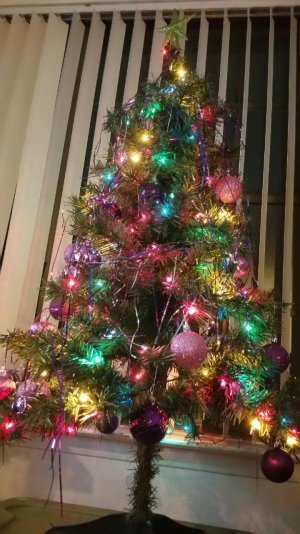 xmas tree.jpg