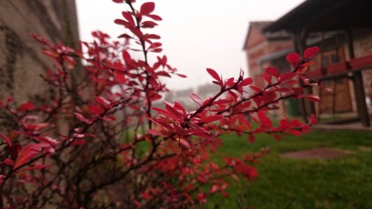 DSC_0027.jpg