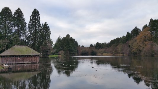 20151126_143103.jpg