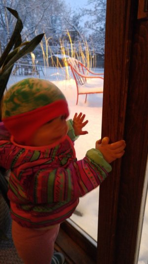 IMG_20151229_164857.jpg