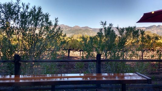 T-Vine_Winery.jpg