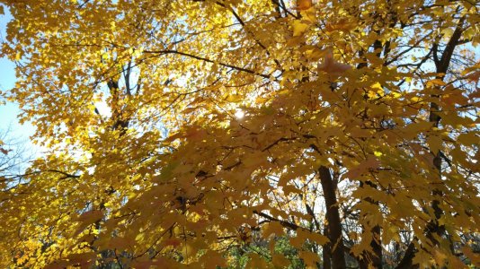 20151115_095249.jpg