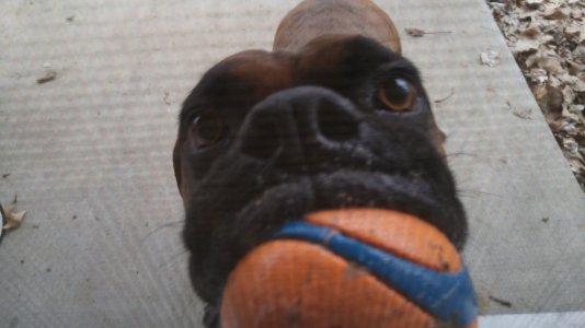 20151206_115347.jpg