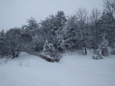 IMG_20160122_175531.jpg