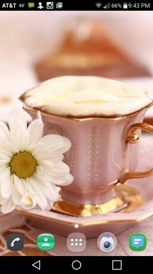 2016-01-25 03.43.11.jpg