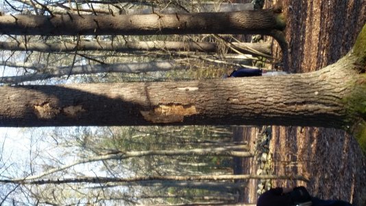 20160131_145229[1].jpg