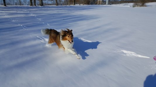 20160123_152312.jpg