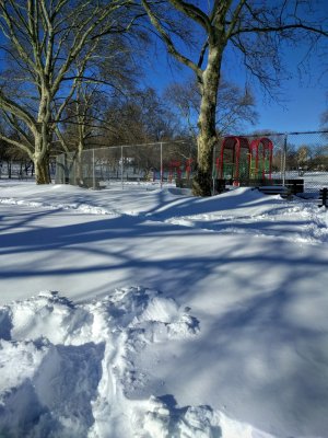 IMG_20160124_142055-2.jpg
