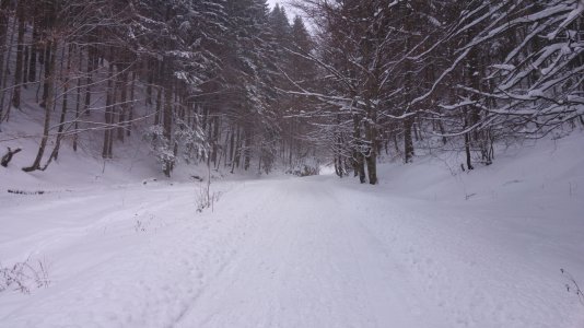 20160117_150148.jpg