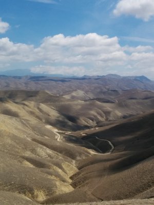 dsc_147.jpg