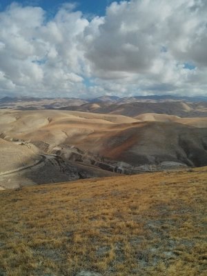 dsc_144.jpg