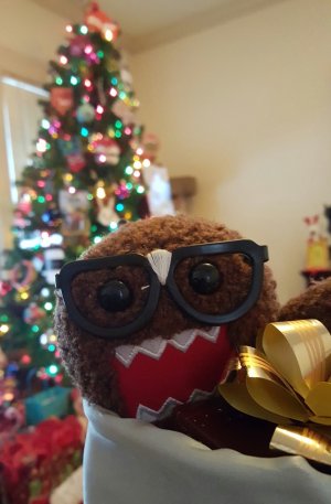20151225_090322-1.jpg