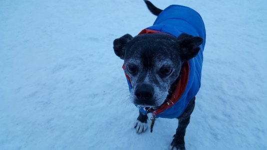 20160120_164505.jpg
