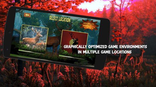 deer_hunting_3.jpg