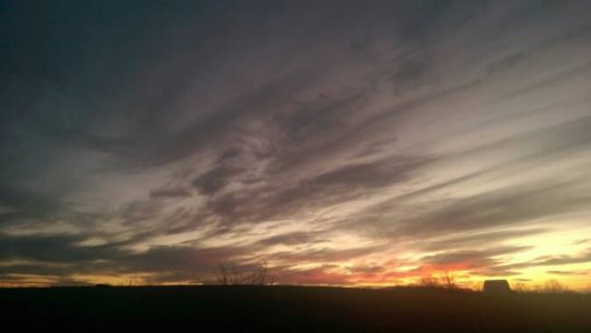 IMAG2172.jpg