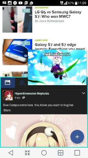 12736.jpg
