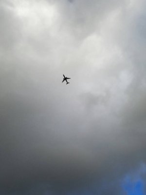 1457752216734.jpg