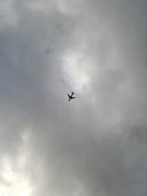 1457752229314.jpg