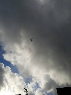 1457752242383.jpg