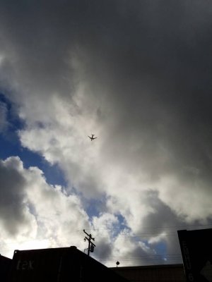 1457752259224.jpg