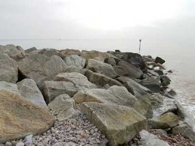 842.jpg