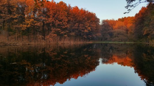 2015-11-02 09.52.30.jpg