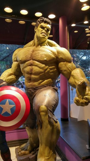the hulk.jpg