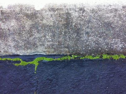 0202161019a-01snap.jpg