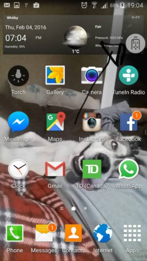 2016-02-04 19.04.50.jpg