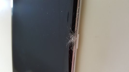 20160313_134746.jpg